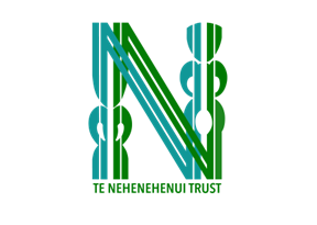 Te Nehenehenui Trust Financial Statements